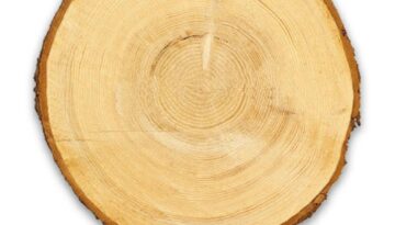 Jubiläumspublikation für Holzbauunternehmen Häring von dialogika